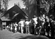 camp Mather, Yosemite, Seibel Murphy
