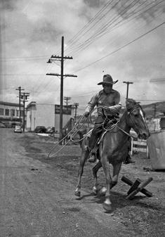 Henry lauberge horses daly city